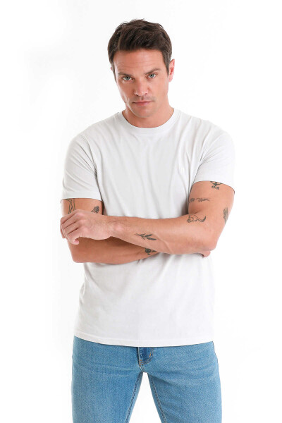 Gri Regular Fit Bisiklet Yaka 100% Pamuk Tişört - HTML